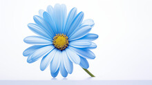 Photograph Blue Daisy Flower On White Background