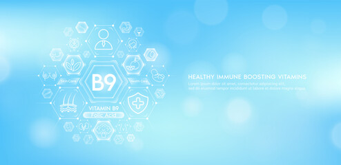 Wall Mural - Vitamin B9 or Folic Acid with medical icons. Vitamins minerals from natural essential health skin care body organs healthy. Build immunity antioxidants digestive system. Banner vector EPS10.