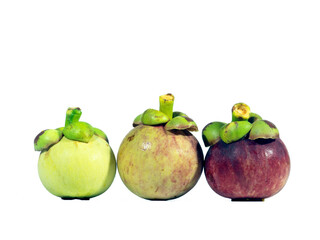 Poster - Set of mangosteen fruits on transparent background PNG