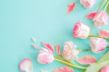 Wall Mural - beautiful pink spring flowers on blue background