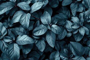 Poster - A close-up view of a bunch of green leaves. Perfect for nature enthusiasts and botanical designs
