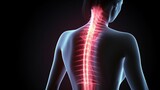 Fototapeta  - Medical Illustration of Pain in Neck, spine, human spine chiropractor