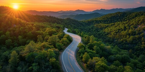 Wall Mural - Winding Road Through a Sunset Kissed Forested Mountain