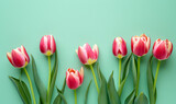 Fototapeta Tulipany - Fresh pink tulips on pastel menthe green background, Generative AI