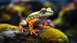 Amphibian made of marble rock  beautiful frog