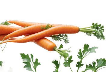 Wall Mural - Carrot with green leaves on white background