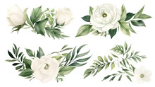 Watercolor Drawing, Set Of White Flowers And Green Eucalyptus Leaves