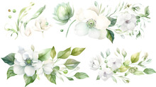 Watercolor Drawing, Set Of White Flowers And Green Eucalyptus Leaves