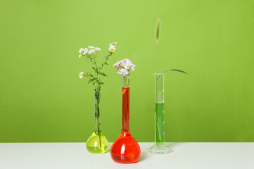 Wall Mural - Test tubes and flowers, Herbal medicine, concept of herbal medicine research