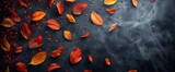 Fototapeta Maki - Autumn Autumnal Black Isolated Background Colorful, Banner , HD Background Images