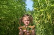 Young girl or child in the middle of a cannabis field