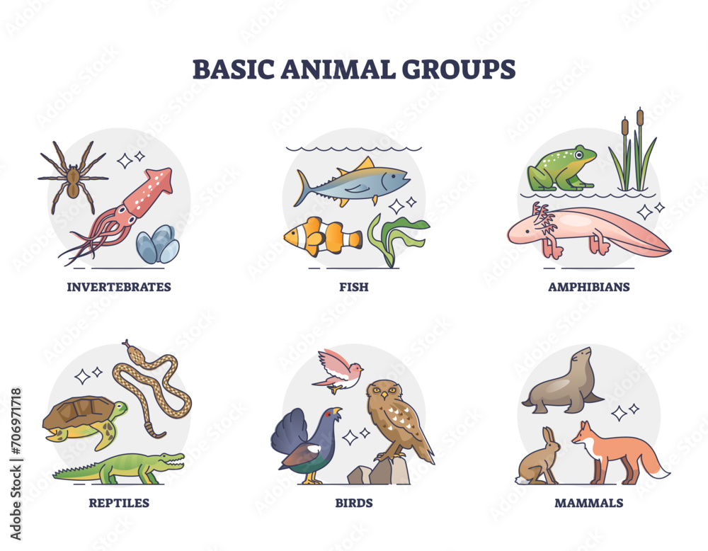 image-vectorielle-stock-basic-animal-groups-and-biological-nature
