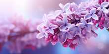 flowers in spring,Fresh lilac blossom beautiful purple flowers. Neural network AI generated,Beautiful smell violet purple lilac blossom flowers in spring time. Close up macro twigs of lilac selective 