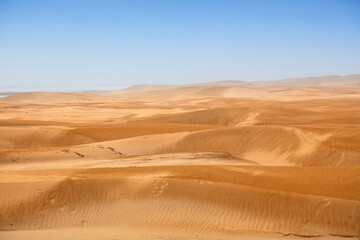 Canvas Print - Morocco desert landscape