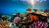 Fototapeta Fototapety do akwarium - サンゴ礁