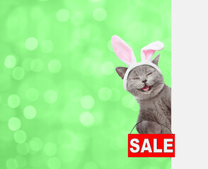 Aufkleber - Happy cat wearing easter rabbits ears holds sales symbol behind empty white banner on blurred green background