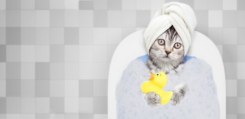 Aufkleber - Cute kitten with towel on it head holds rubber duck and takes the bath with foam at home. Top down view. Empty space for text