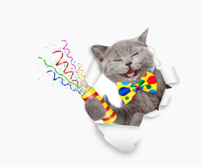 Aufkleber - Happy cat wearing tie bow looks through the hole in yellow paper and holds exploding firecracker