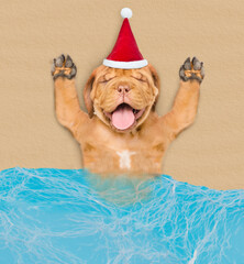 Poster - Sleepy Mastiff puppy wearing red santa hat relaxing on sandy tropical beach at ocean. Top down view