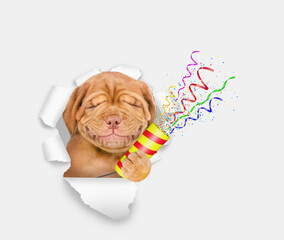 Aufkleber - Smiling Mastiff puppy with eye closed explodes a firecracker through the hole in white paper