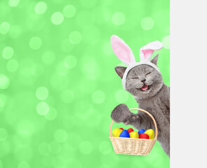 Aufkleber - Happy kitten wearing easter rabbits ears holds basket with colorful easter eggs and looks from behind empty white banner on white blured background