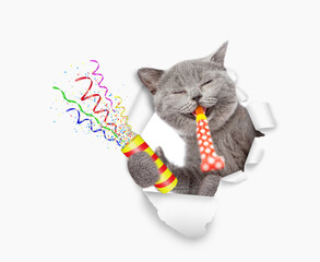 Aufkleber - Happy cat looks through the hole in white paper, blows in party horn and holds exploding firecracker