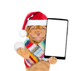 Poster - Smiling Mastiff puppy wearing santa hat and warm knitted scarf holds snowball and big smartphone with white blank screen in it paw. isolated on white background