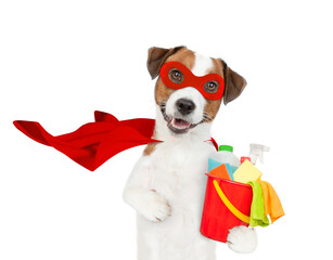 Poster - Funny jack russell terrier puppy wearing superhero costume holds bucket with washing fluids. Isolated on white background