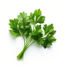 Parsley isolated on clear white background