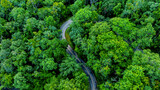Fototapeta Uliczki - Aerial top view road in forest with car motion blur. Winding road through the forest. Car drive on the road between green forest. Ecosystem ecology healthy environment road trip.