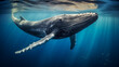 Humpback whale swimming underwater in deep blue ocean. Scientific name, Sperm whale, Sperm whale swimming underwater,  Humpback whale underwater, Ai generated image