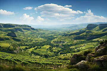 Poster - Beautiful landscape of Vineyards in European region in summer season comeliness, Beautiful vineyards with blue sky and old house. Generative AI