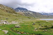 © Dynamoland - a scenic view of the lake Montespluga in Valley Chiavenna, Lombardy, Italy