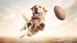 Dog jumping for rugby ball outdoors