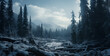 snow wilderness sony alpha cinematic, winter forest in the mountains