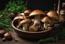 Fresh Forest MushroomsBoletus Edulis (king Bolete) Penny Bun Cep Porcini Mushroom In An Old Bowl Pla