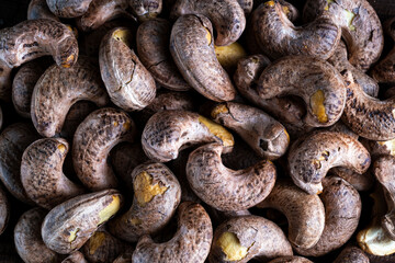 Wall Mural - The texture of roasted cashew nuts. Cashew texture.