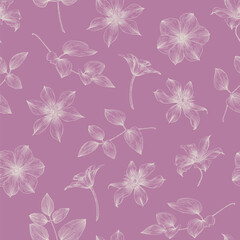  Elegante flowers of clematis white on pink background. Hand drawn elements. Vintage floral vector seamless pattern for design packaging textile wallpaper fabric