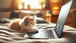 Kleines süßes Kätzchen entdeckt die digitale Welt am Laptop