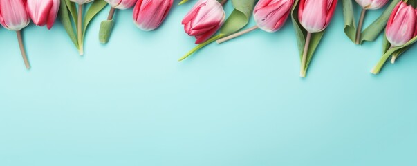  Spring tulip flowers on aqua background top view in flat lay style