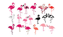Flamingo Vector Bundle For Print, Flamingo Clipart, Flamingo Illustration