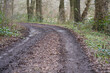 © Homestudio - Muddy impassable forest road after rain