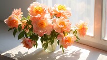 A Bouquet Of Peach Peonies In A Vase On The Windowsill For Congratulations On Mother's Day, Valentine's Day, Women's Day. Romantic Background And Greeting Card.
