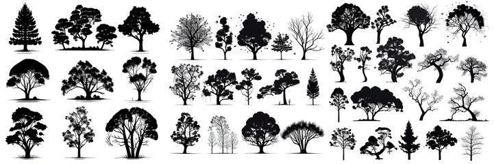 Wall Mural - Set of black silhouettes of various trees on transparent background PNG.