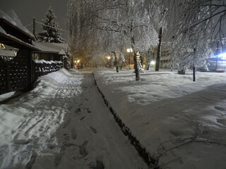 Wall Mural - street in winter