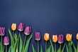 Spring tulip flowers on indigo background top view in flat lay style 