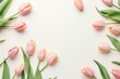 Spring tulip flowers on ivory background top view in flat lay style