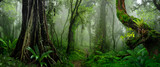 Fototapeta Dziecięca - green forest in the morning