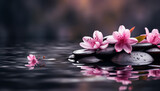 Fototapeta Kuchnia - beautiful pink spa flowers on spa hot stones on water wet background. side composition. copy space. spa concept. dark background
