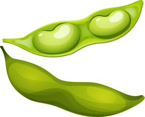 Wall Mural - Concept leguminous haricot bean icon, green natural string bob, vegetarian food cartoon vector illustration, isolated on white. Lonely stem grown plant, vegan pod tasty legumes grain.